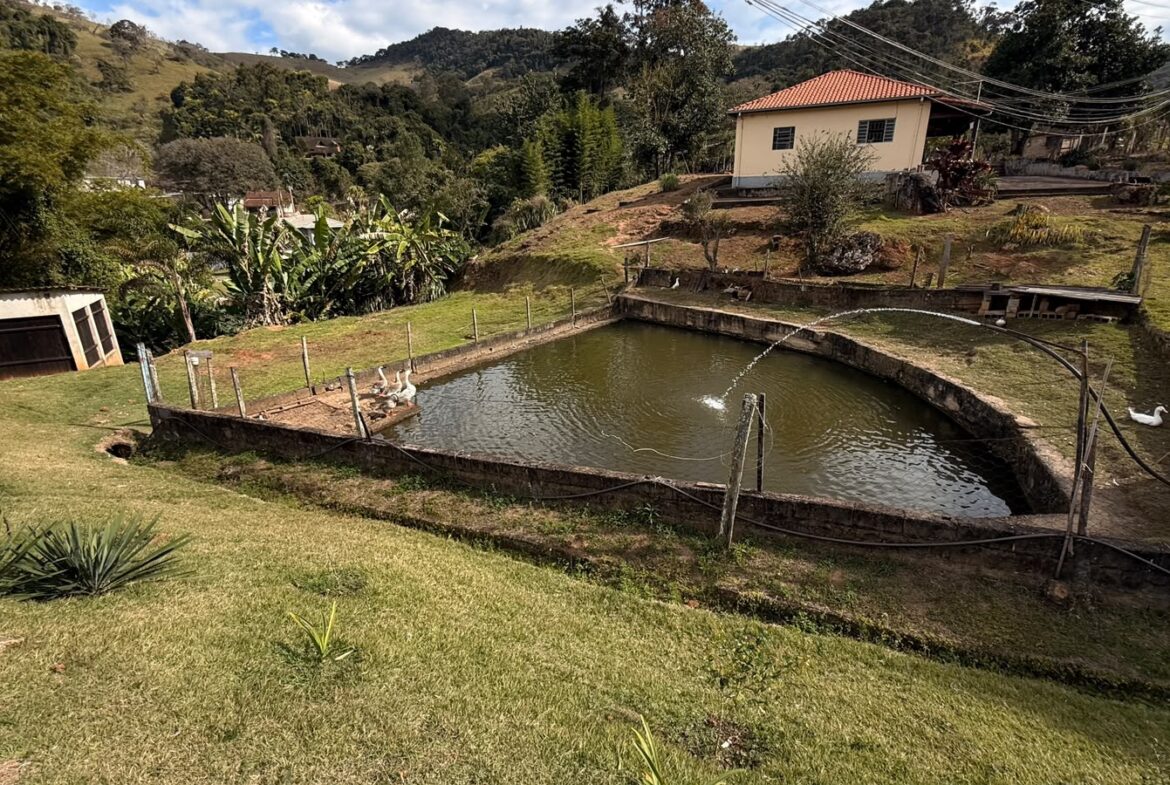 Imagem 26 do sítio em Cambuí/MG — cód. 2517