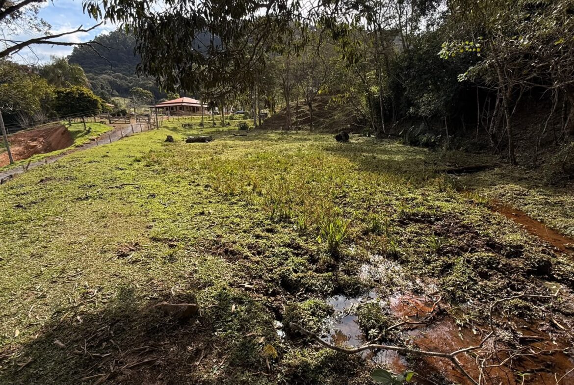Imagem 27 do sítio em Cambuí/MG — cód. 2517