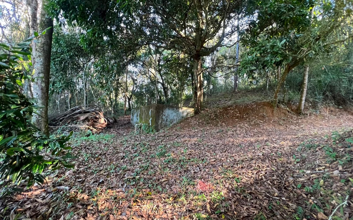Chácara Exclusiva – 12.000 m² | Apenas 10 minutos da cidade!