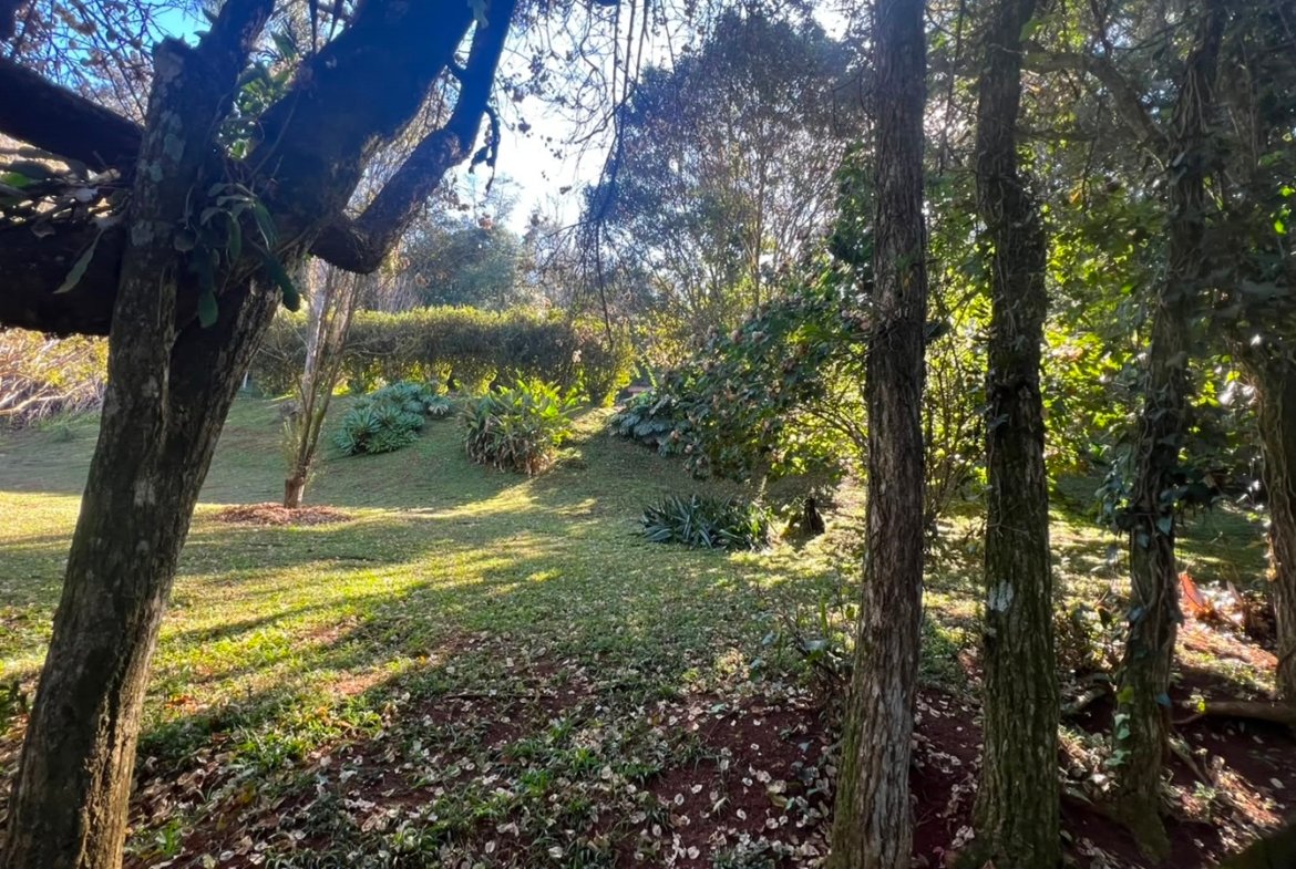 Chácara Exclusiva – 12.000 m² | Apenas 10 minutos da cidade!