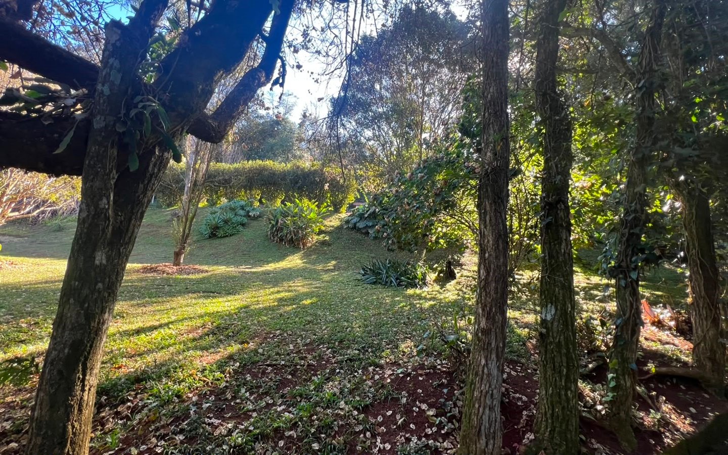 Chácara Exclusiva – 12.000 m² | Apenas 10 minutos da cidade!