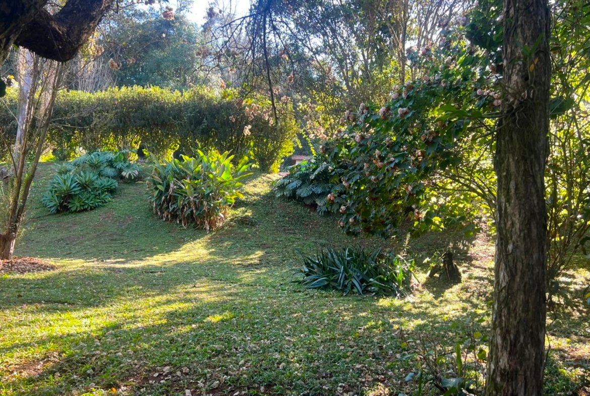 Chácara Exclusiva – 12.000 m² | Apenas 10 minutos da cidade!