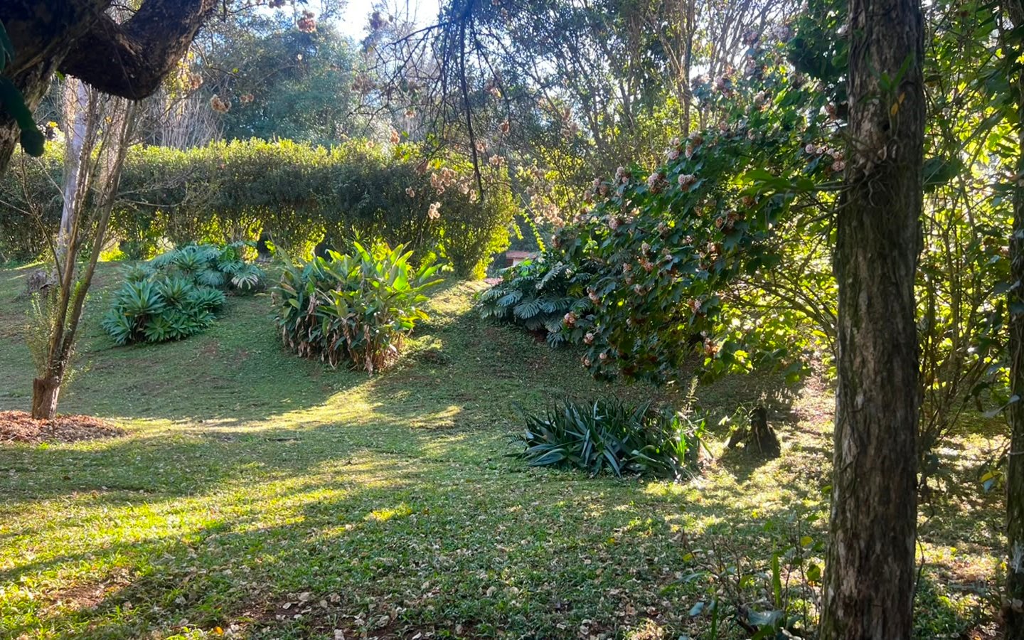 Chácara Exclusiva – 12.000 m² | Apenas 10 minutos da cidade!