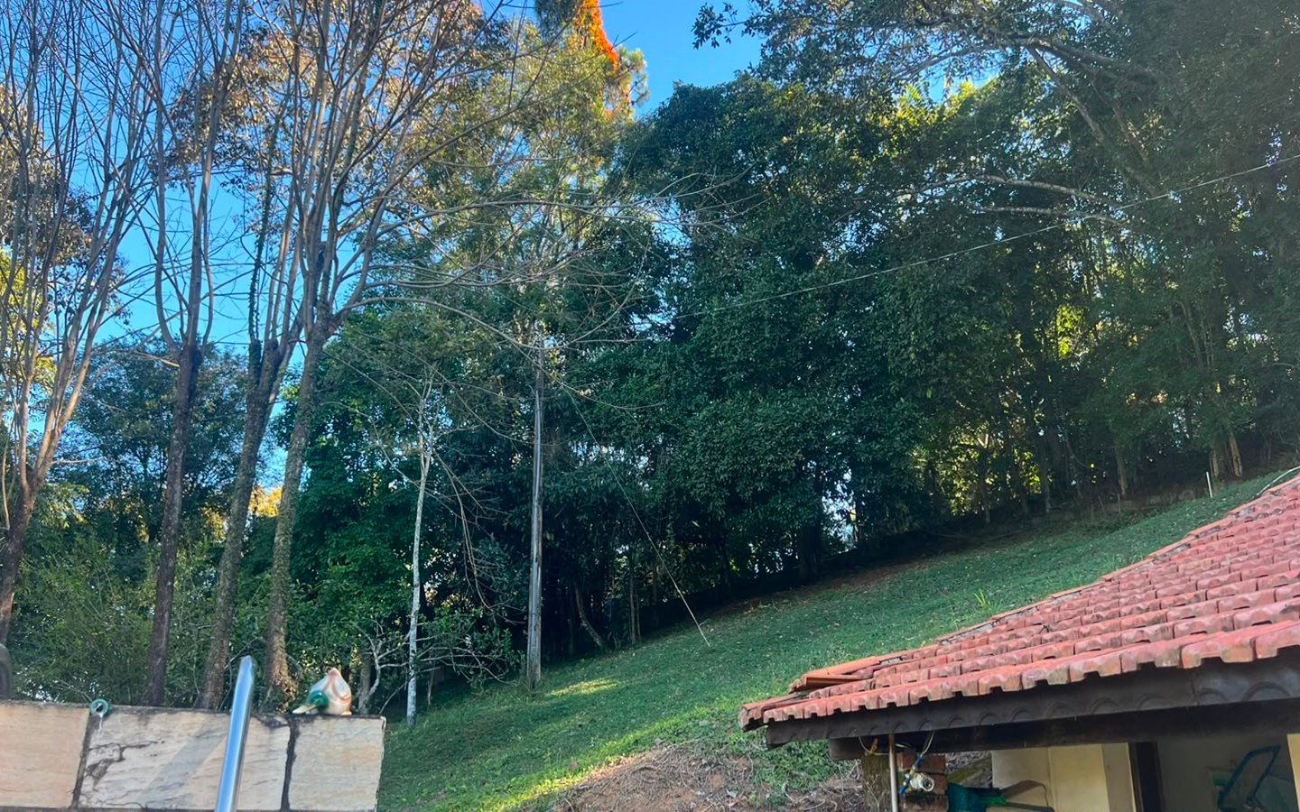 Chácara Exclusiva – 12.000 m² | Apenas 10 minutos da cidade!