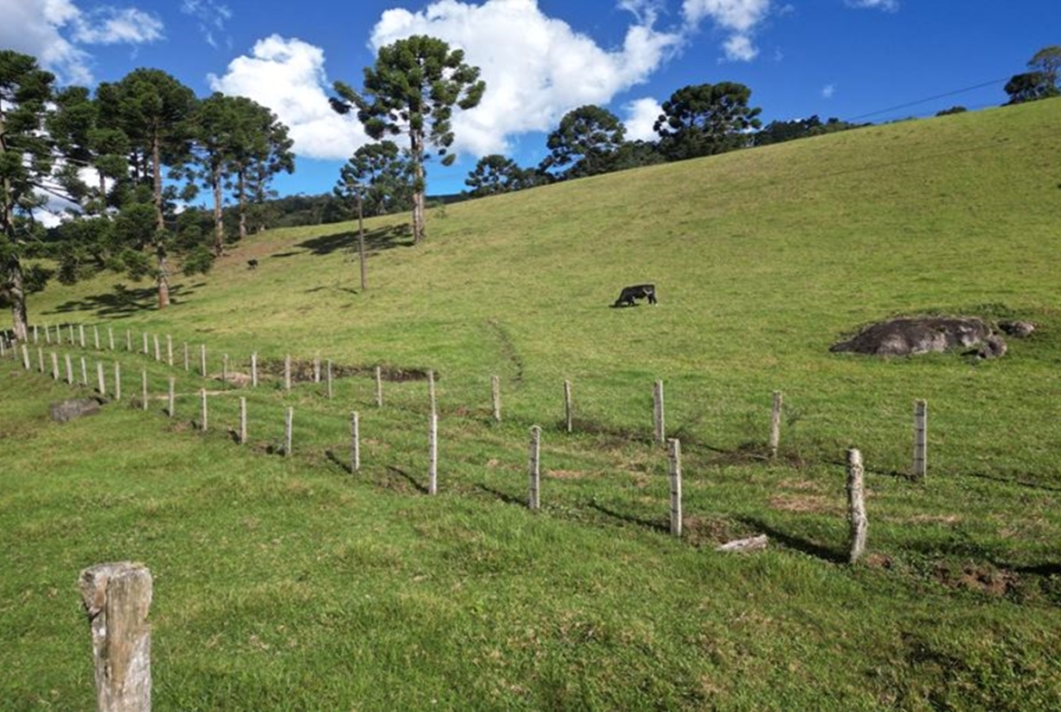 Excelente Terreno a 5 km da Pedra São Domingos a Venda em Paraisópolis MG