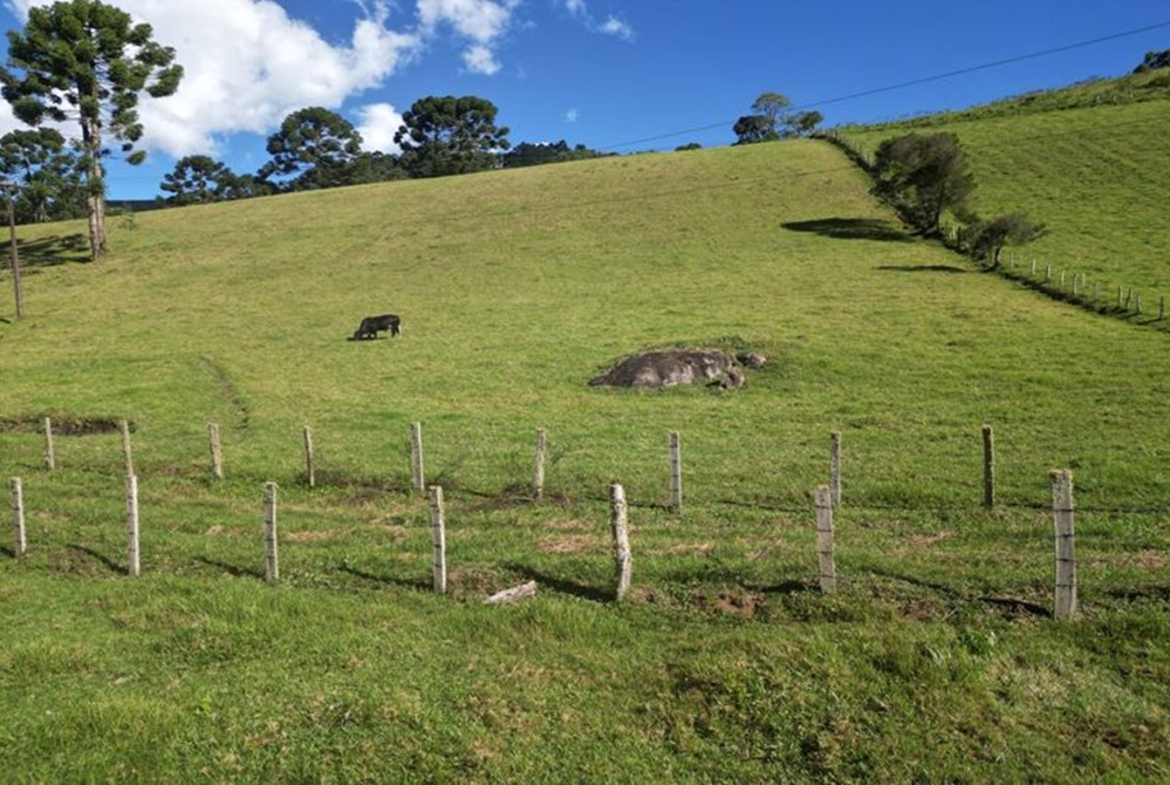 Excelente Terreno a 5 km da Pedra São Domingos a Venda em Paraisópolis MG