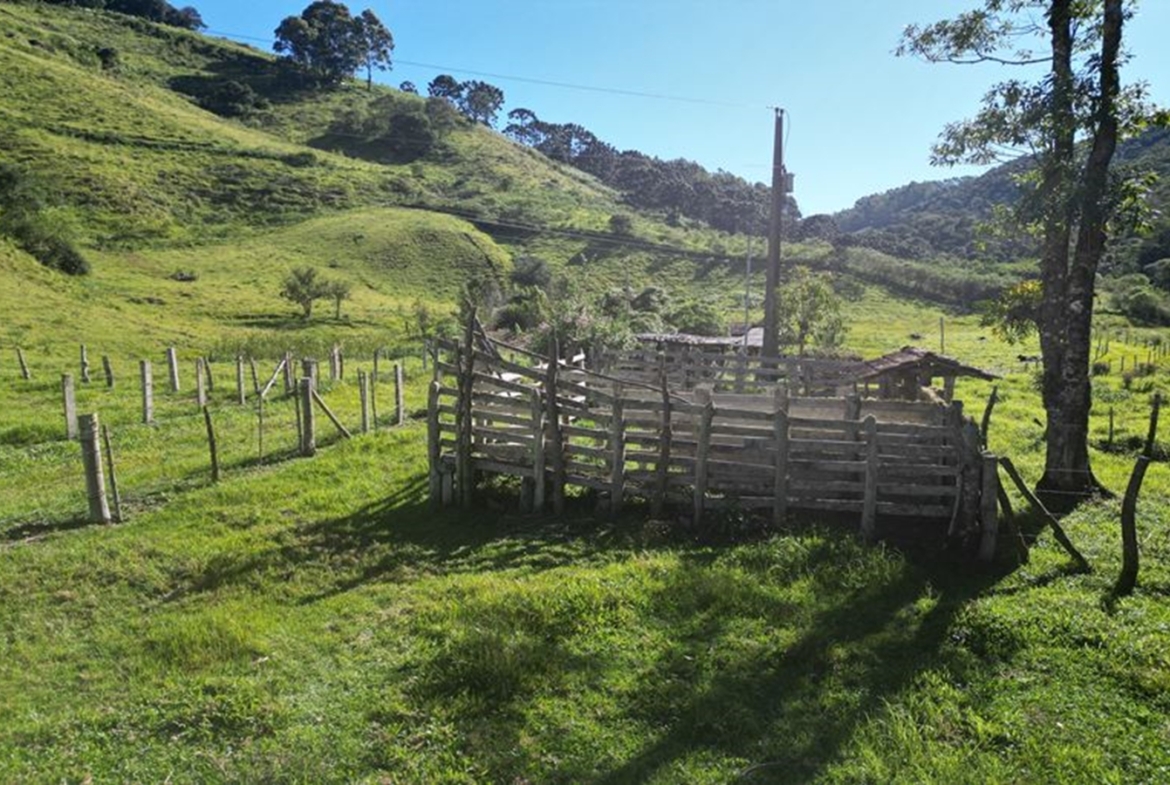 Excelente Terreno a 5 km da Pedra São Domingos a Venda em Paraisópolis MG
