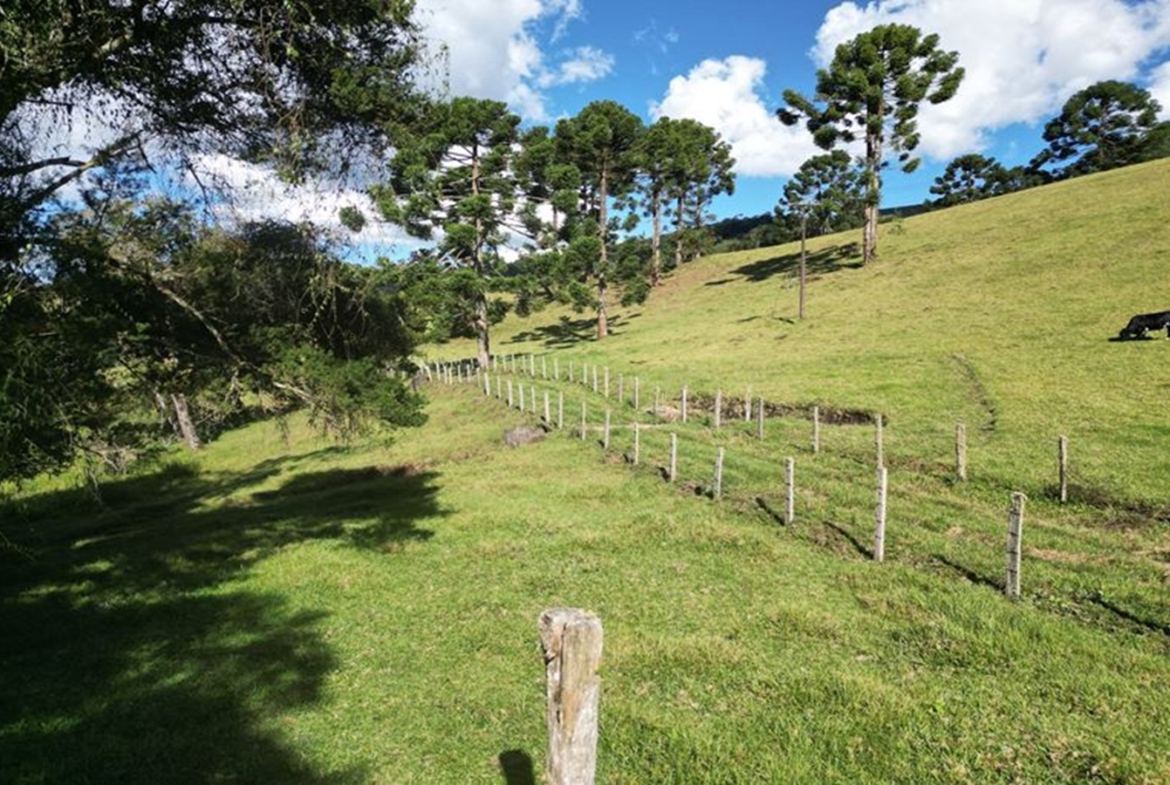 Excelente Terreno a 5 km da Pedra São Domingos a Venda em Paraisópolis MG
