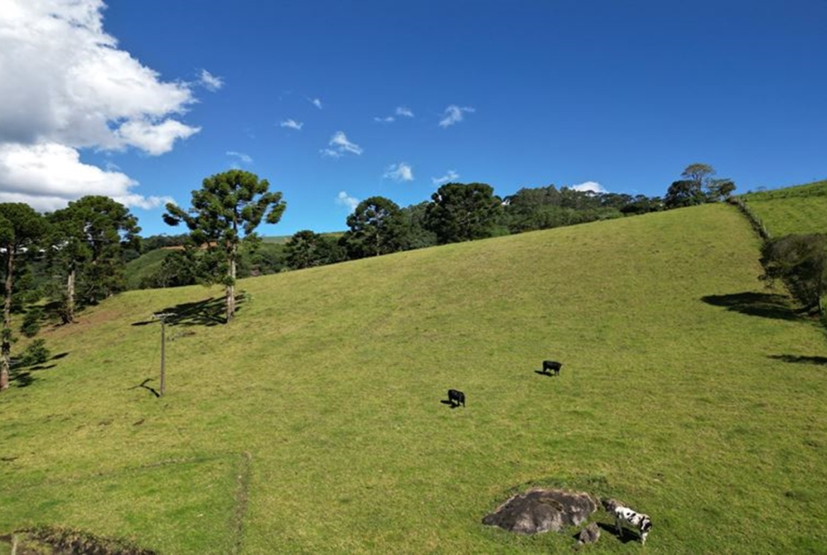 Excelente Terreno a 5 km da Pedra São Domingos a Venda em Paraisópolis MG