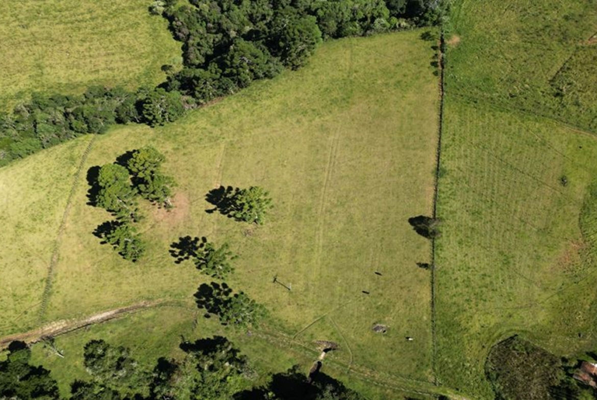 Excelente Terreno a 5 km da Pedra São Domingos a Venda em Paraisópolis MG