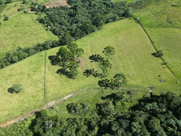 Excelente Terreno a 5 km da Pedra São Domingos a Venda em Paraisópolis MG