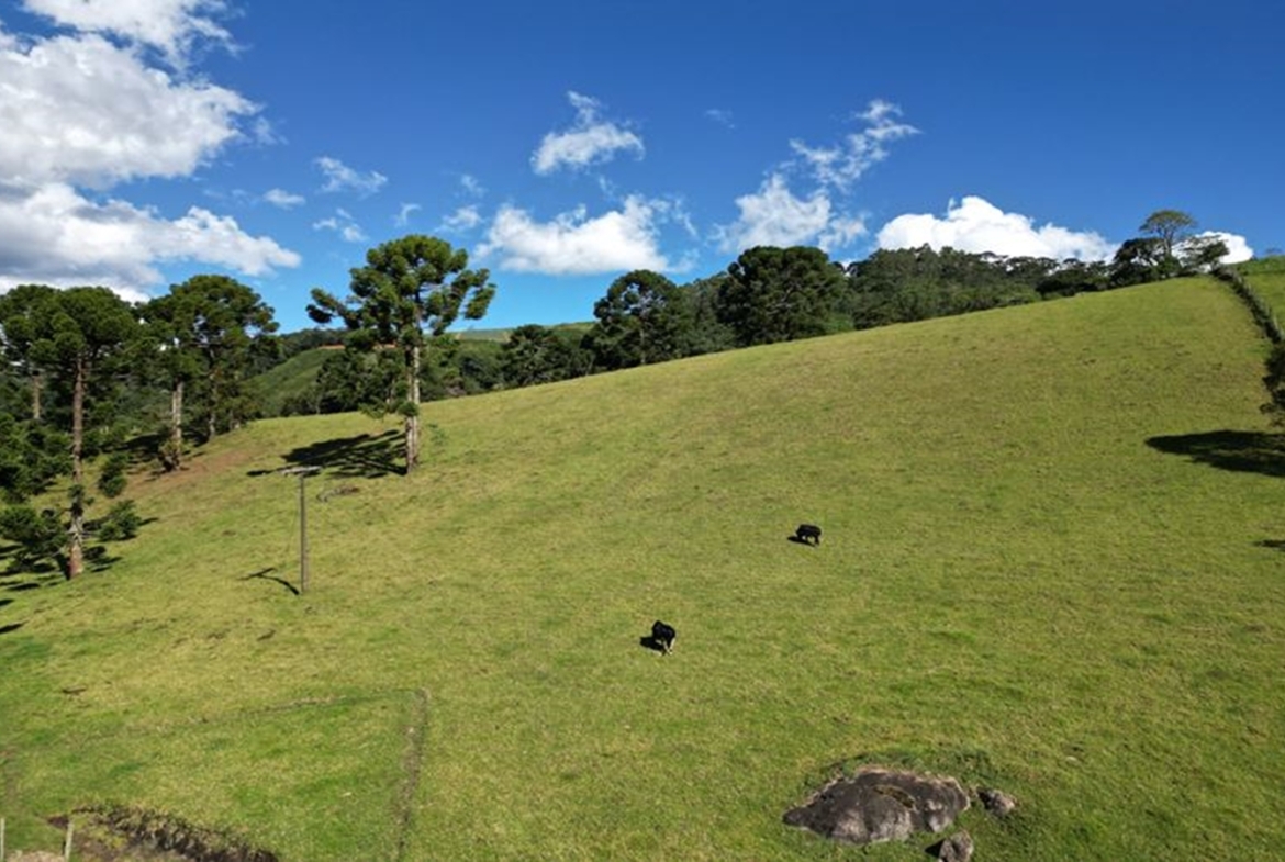 Excelente Terreno a 5 km da Pedra São Domingos a Venda em Paraisópolis MG