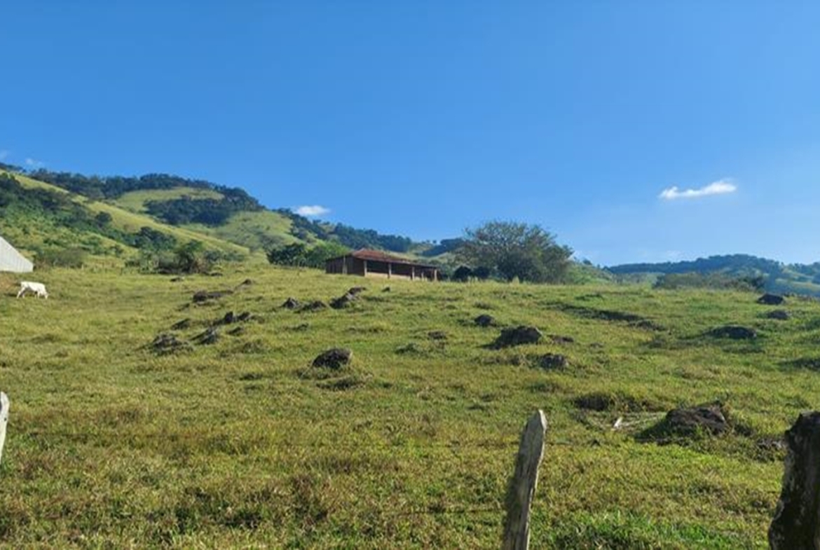 Terreno a 2km da Cachoeira com 2000 m² a Venda em Cambuí MG