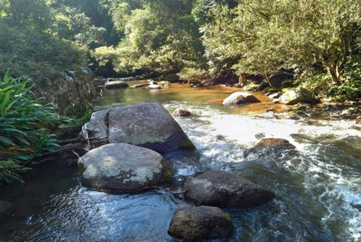 Terreno a Venda em Gonçalves MG de 10.000 m² com Rio na Divisa