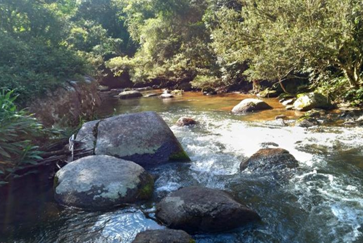 Terreno a Venda em Gonçalves MG de 10.000 m² com Rio na Divisa