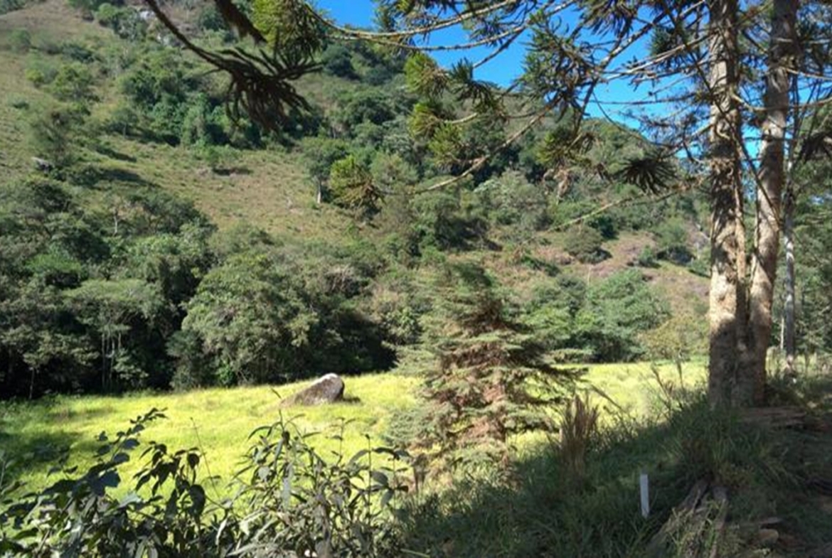 Terreno a Venda em Gonçalves MG de 10.000 m² com Rio na Divisa