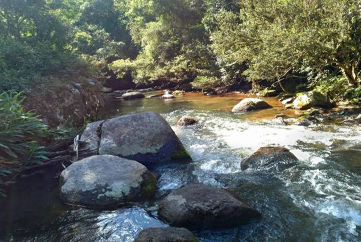 Terreno a Venda em Gonçalves MG de 10.000 m² com Rio na Divisa