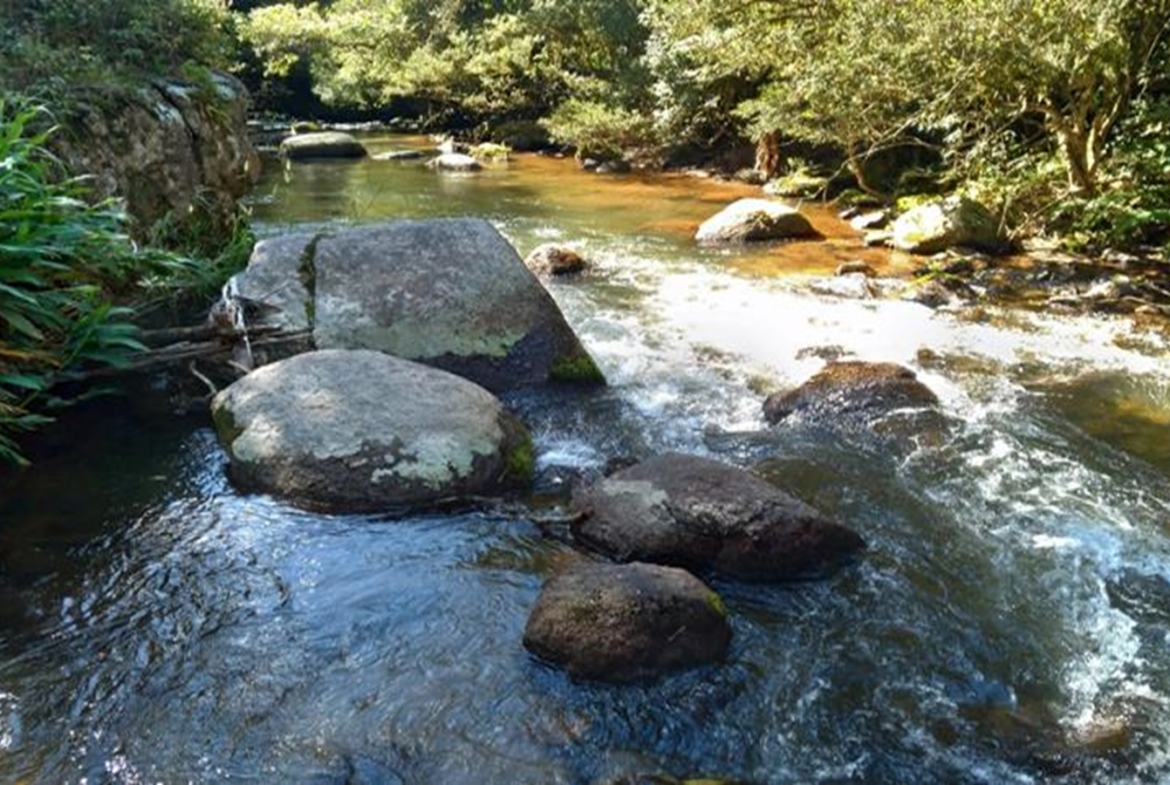 Terreno a Venda em Gonçalves MG de 10.000 m² com Rio na Divisa