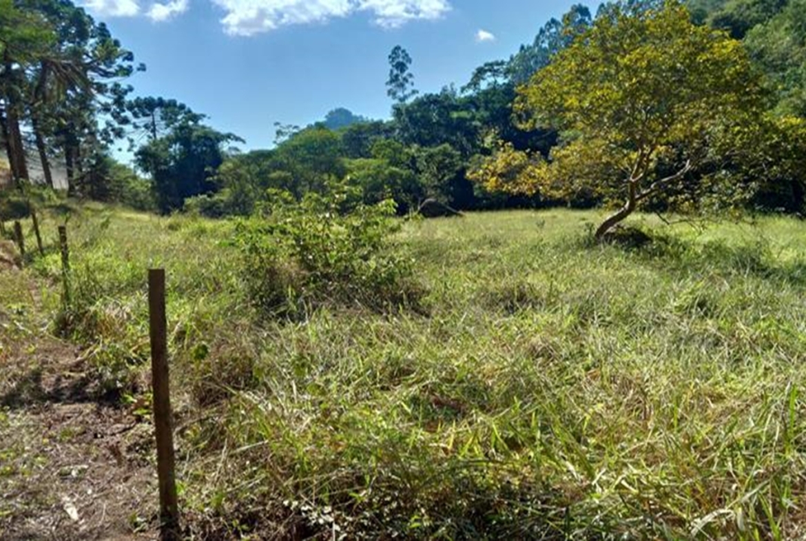 Terreno a Venda em Gonçalves MG de 10.000 m² com Rio na Divisa