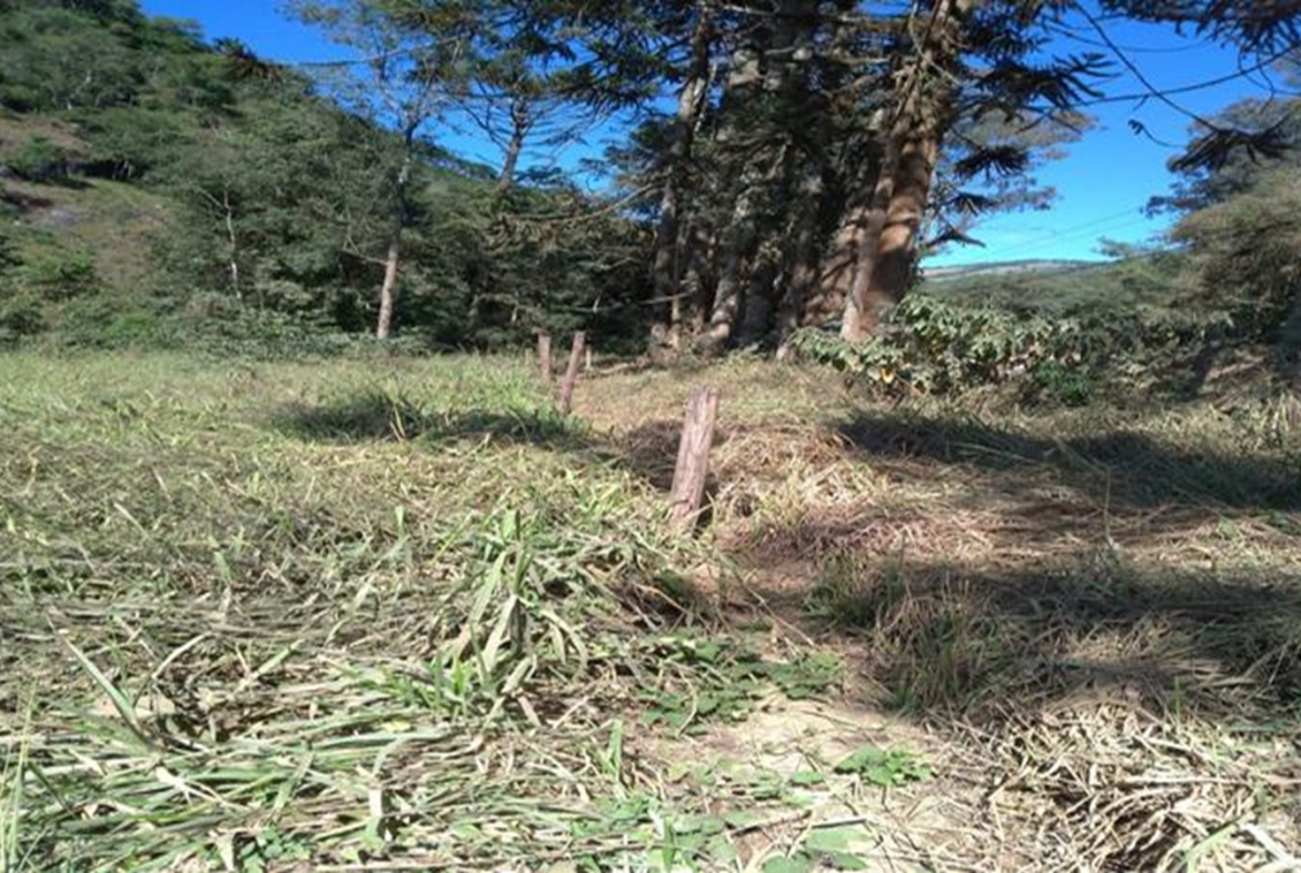 Terreno a Venda em Gonçalves MG de 10.000 m² com Rio na Divisa