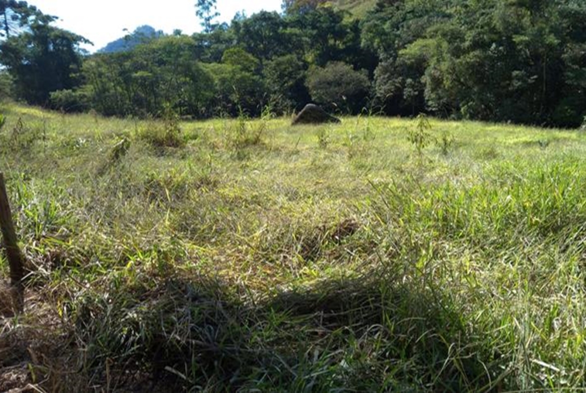 Terreno a Venda em Gonçalves MG de 10.000 m² com Rio na Divisa