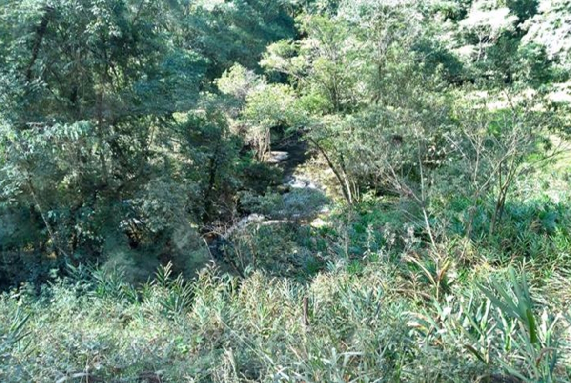 Terreno a Venda em Gonçalves MG de 10.000 m² com Rio na Divisa