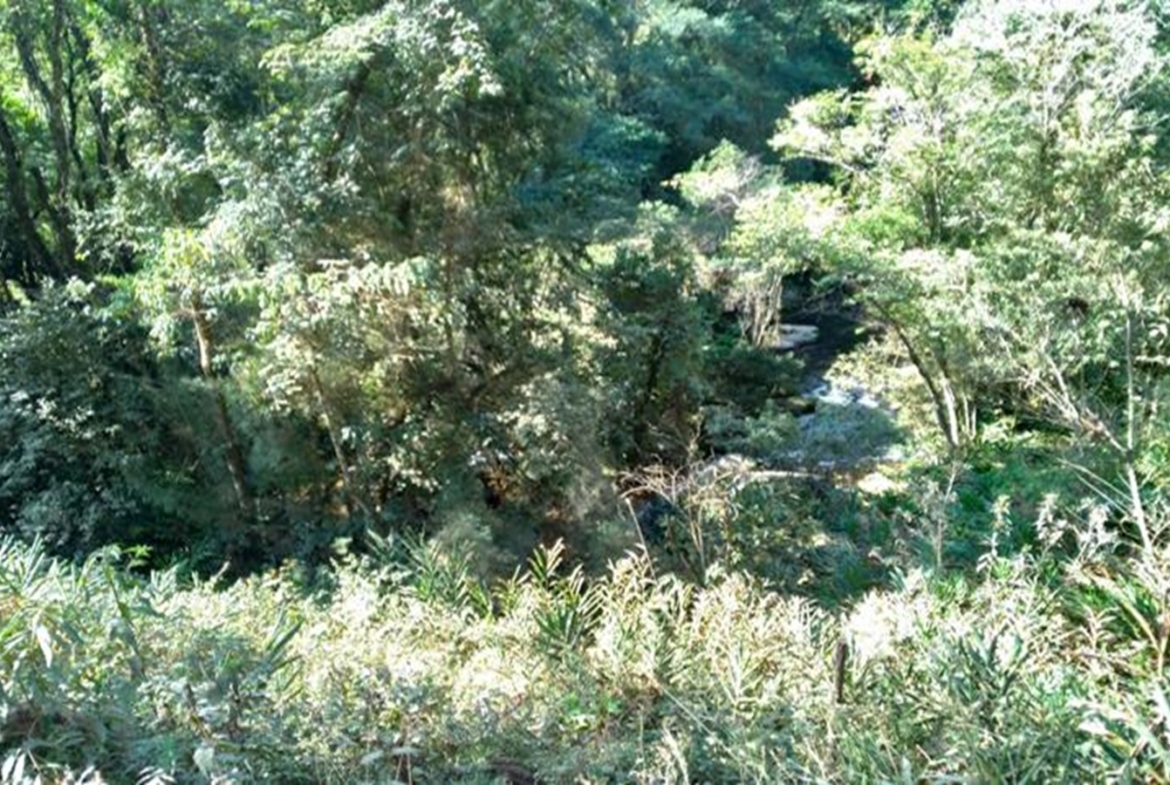 Terreno a Venda em Gonçalves MG de 10.000 m² com Rio na Divisa