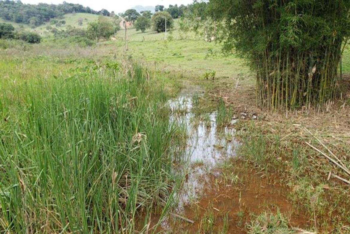 Terreno a venda no Córrego do Bom Jesus 800 metros da Pista