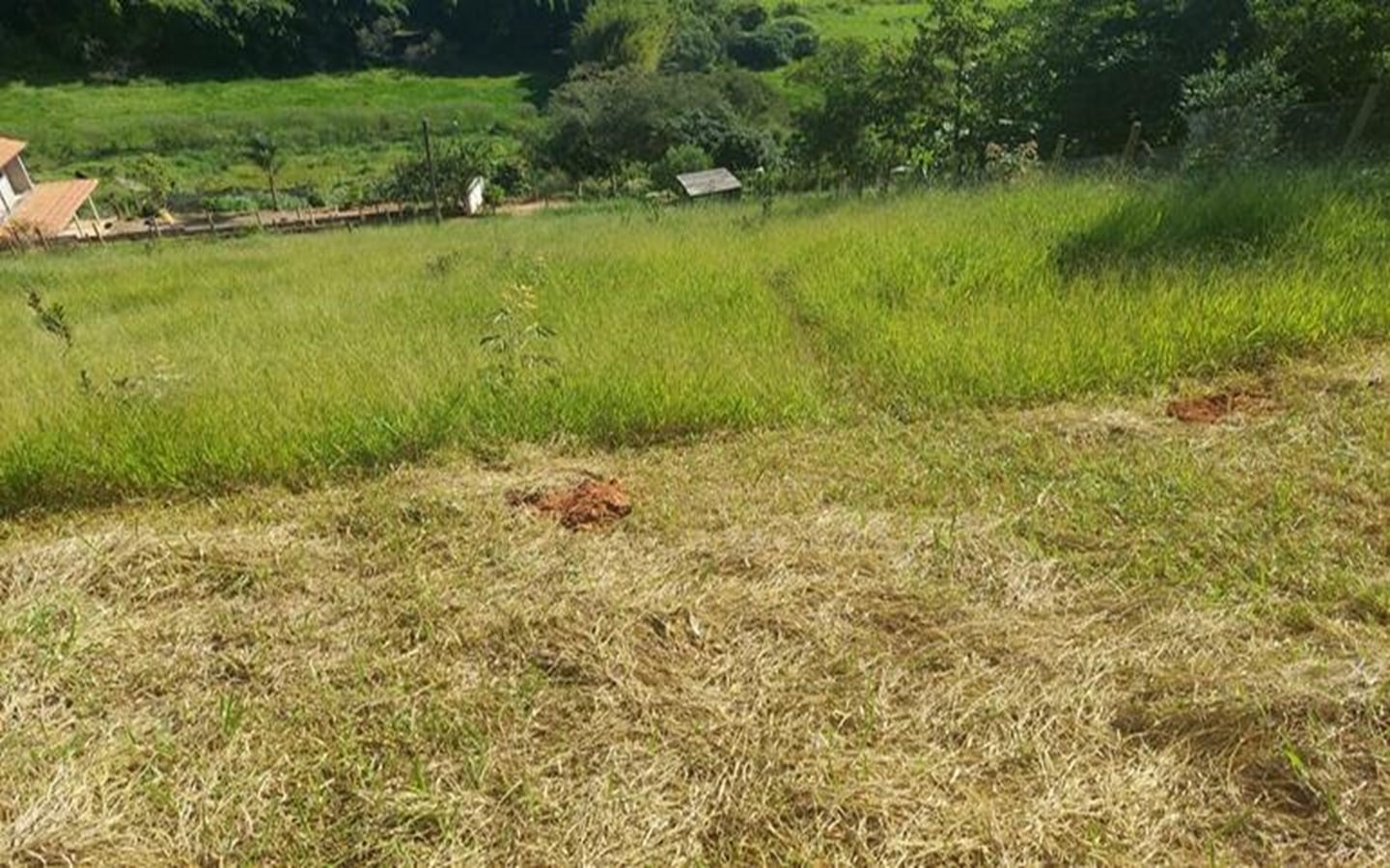 Terreno de 1.000 m² 200 metros da Rodovia a Venda em Cambuí MG