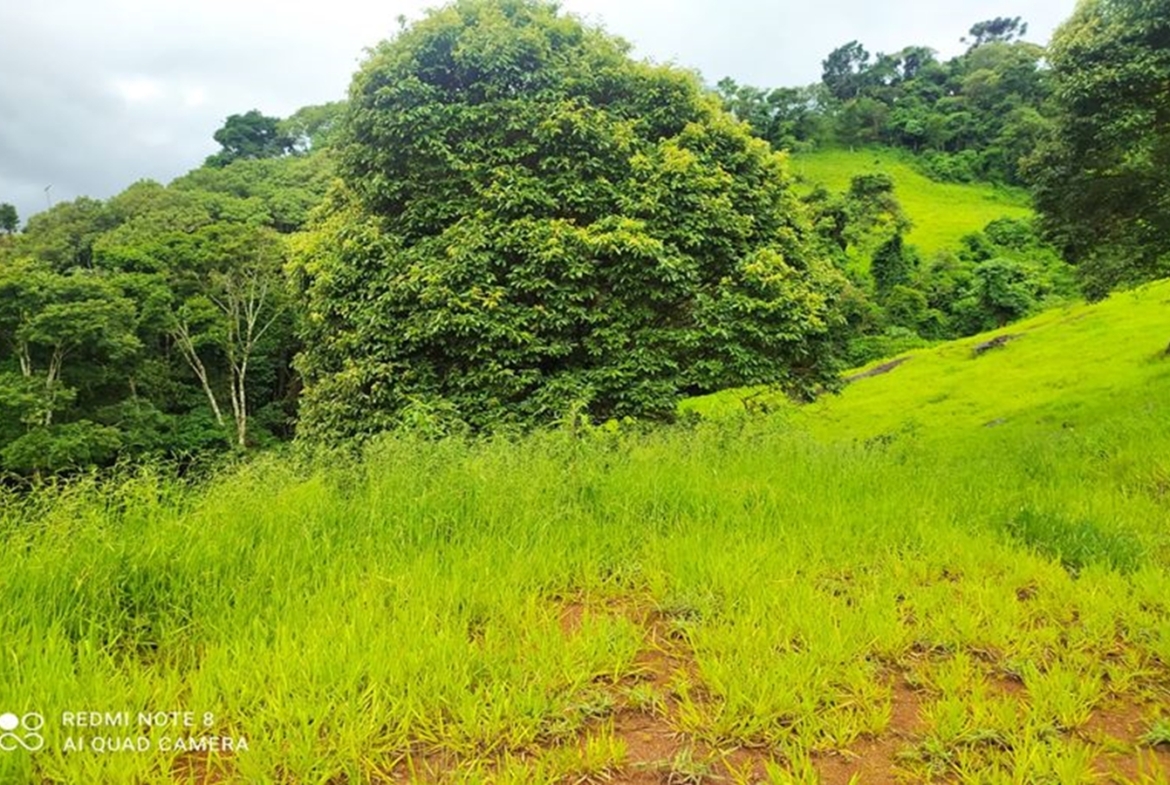 Terreno de 1.000 m² com vista a Venda no Córrego do Bom Jesus MG