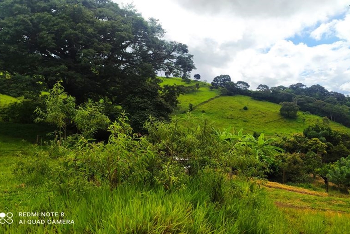 Terreno de 1.000 m² com vista a Venda no Córrego do Bom Jesus MG