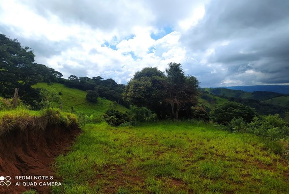 Terreno de 1.000 m² com vista a Venda no Córrego do Bom Jesus MG
