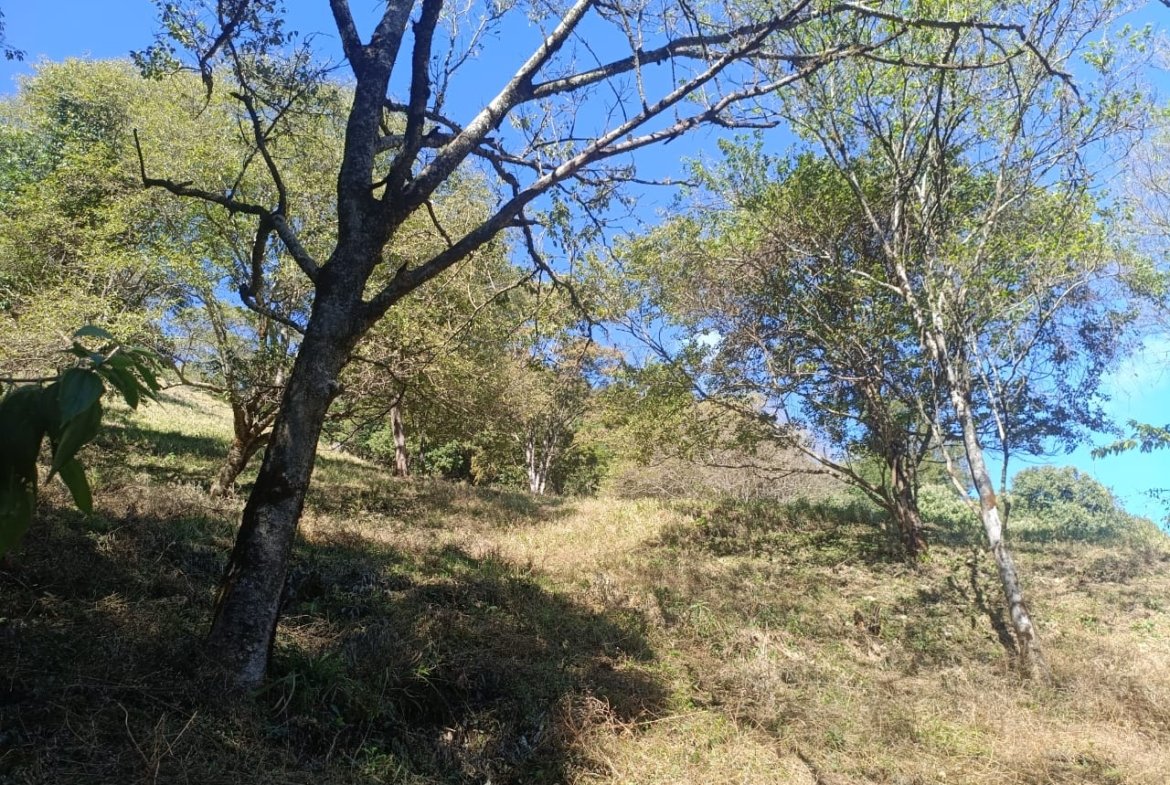 Terreno de 4,74 alqueires com Água Cristalina a Venda em Cambuí MG