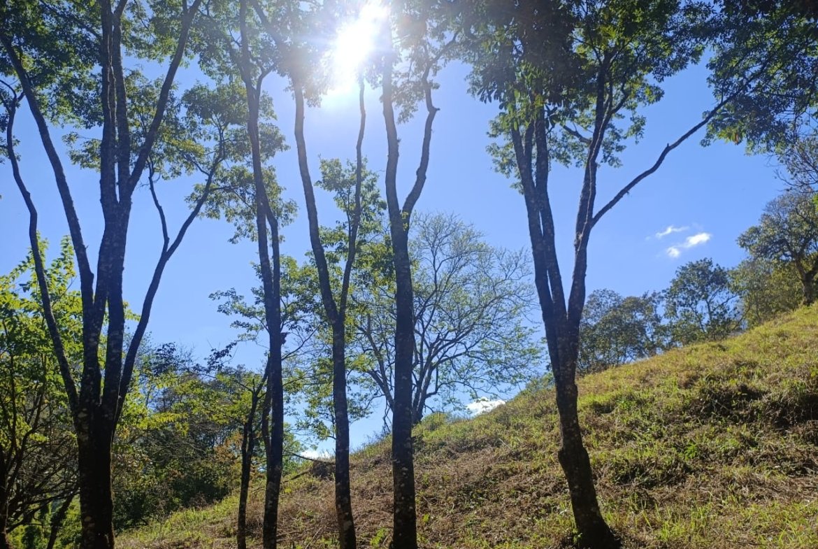 Terreno de 4,74 alqueires com Água Cristalina a Venda em Cambuí MG