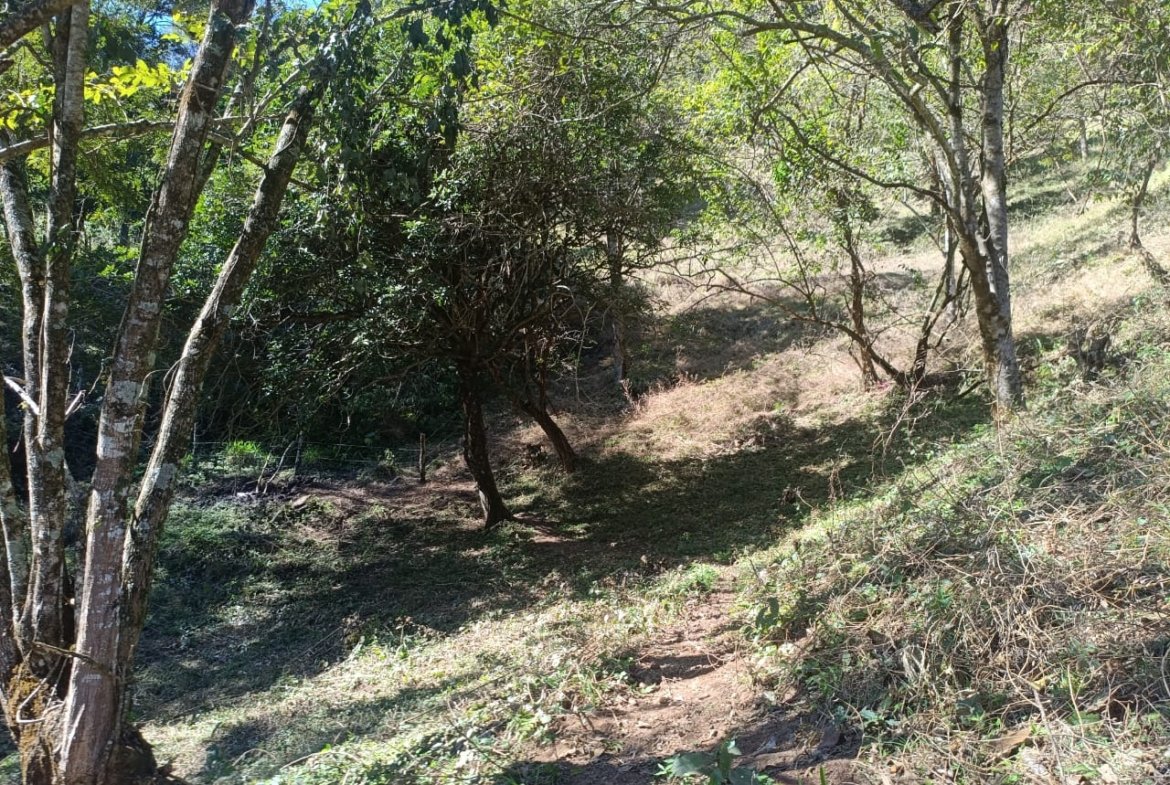 Terreno de 4,74 alqueires com Água Cristalina a Venda em Cambuí MG