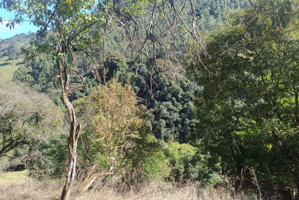 Terreno de 4,74 alqueires com Água Cristalina a Venda em Cambuí MG