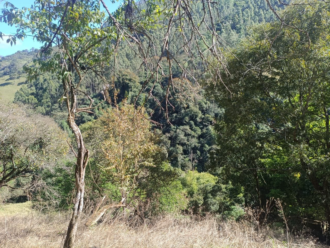 Terreno de 4 alqueire com Água Cristalina a Venda em Cambui MG cod 2502 (15) Terreno de 4,74 alqueires com Água Cristalina a Venda em Cambuí MG