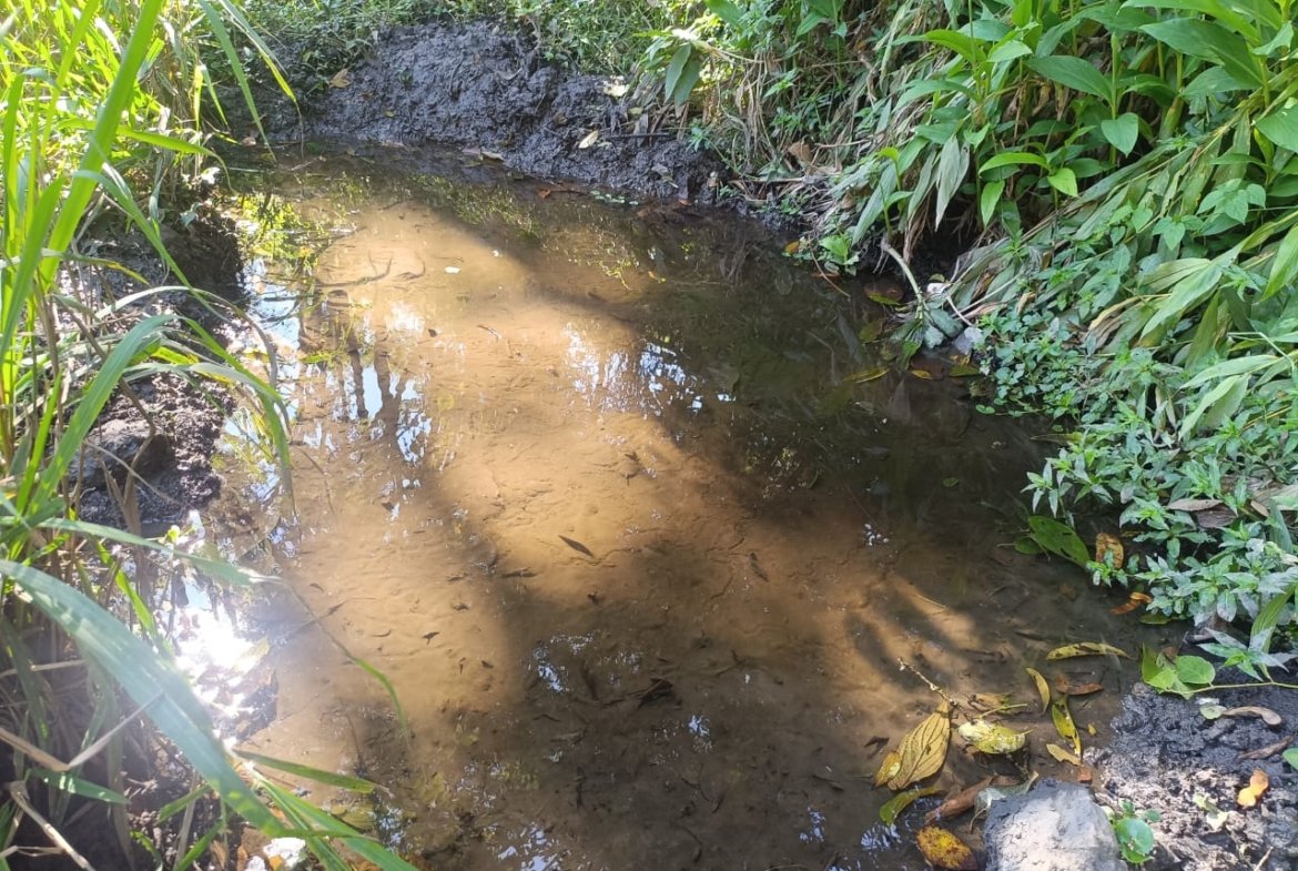 Terreno de 4,74 alqueires com Água Cristalina a Venda em Cambuí MG