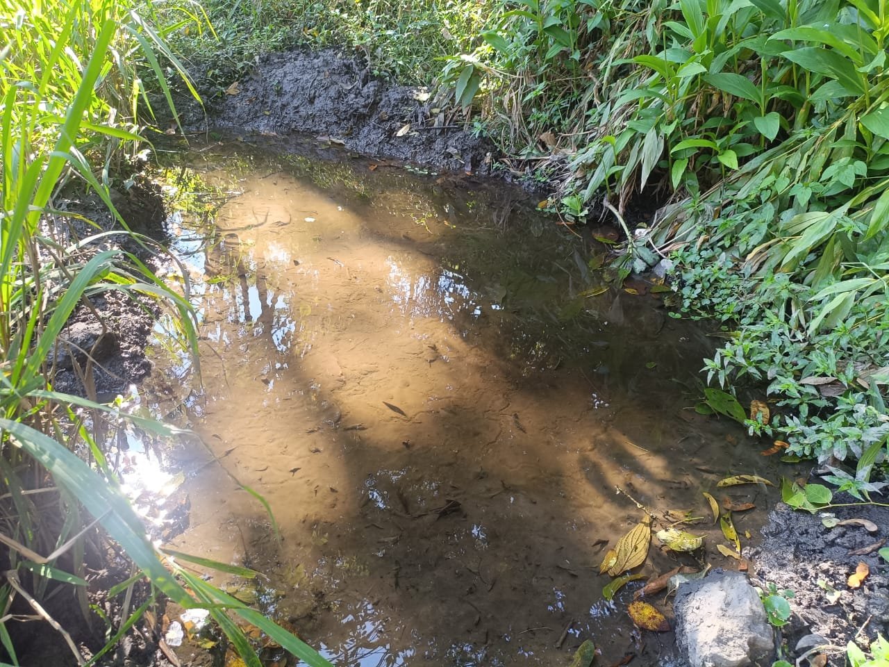 Terreno de 4 alqueire com Água Cristalina a Venda em Cambui MG cod 2502 (16) Terreno de 4,74 alqueires com Água Cristalina a Venda em Cambuí MG