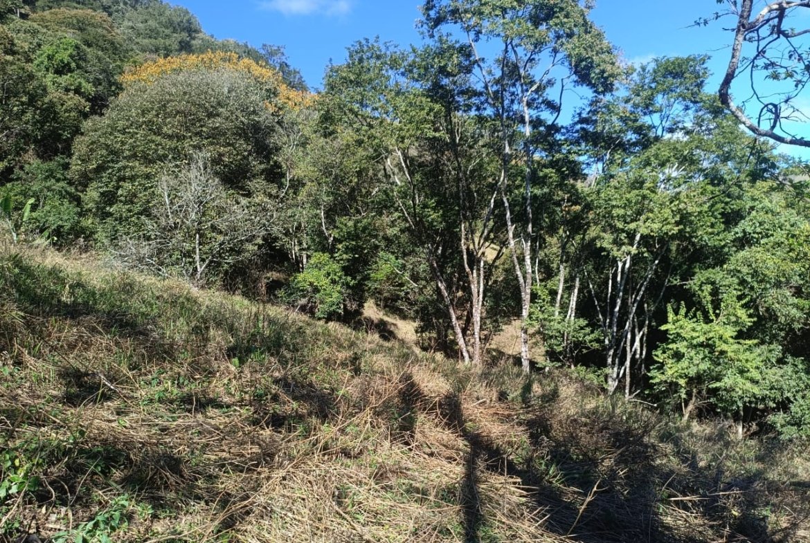 Terreno de 4,74 alqueires com Água Cristalina a Venda em Cambuí MG
