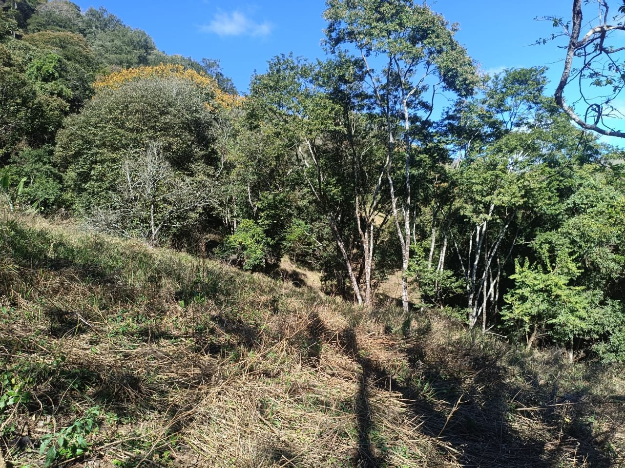 Terreno de 4 alqueire com Água Cristalina a Venda em Cambui MG cod 2502 (17) Terreno de 4,74 alqueires com Água Cristalina a Venda em Cambuí MG