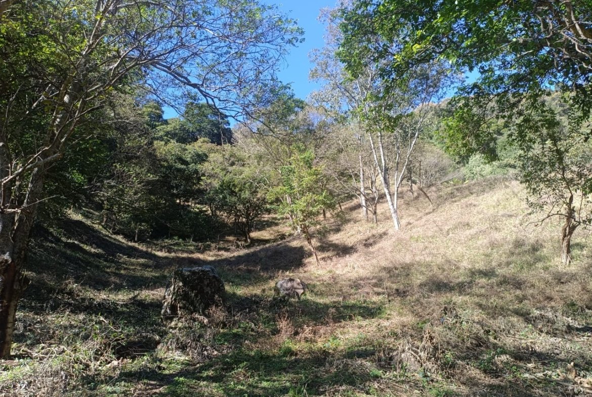 Terreno de 4,74 alqueires com Água Cristalina a Venda em Cambuí MG