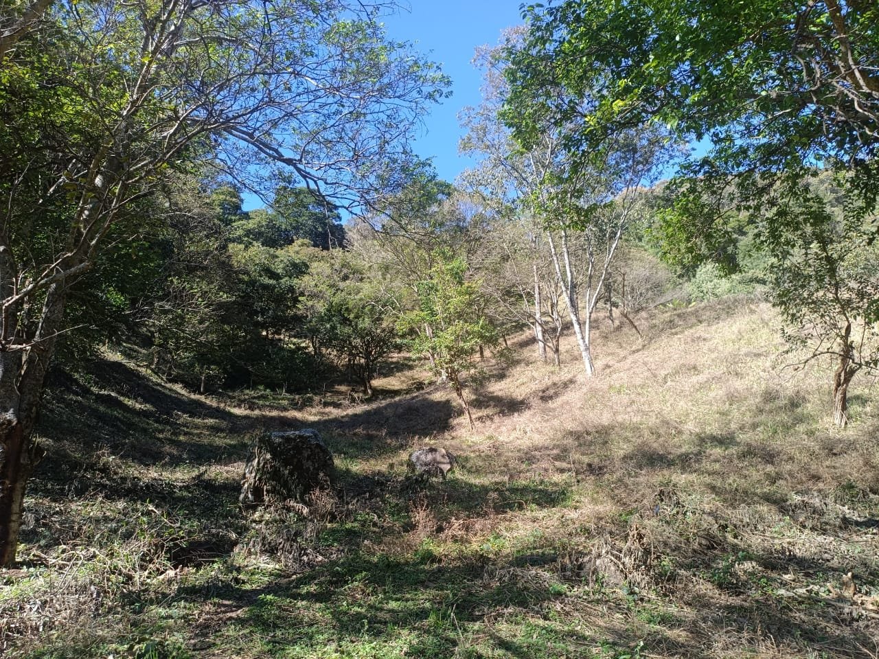 Terreno de 4 alqueire com Água Cristalina a Venda em Cambui MG cod 2502 (18) Terreno de 4,74 alqueires com Água Cristalina a Venda em Cambuí MG