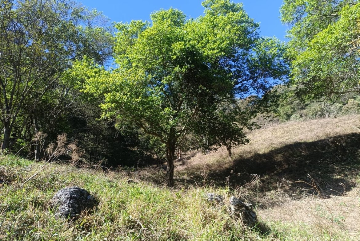 Terreno de 4,74 alqueires com Água Cristalina a Venda em Cambuí MG