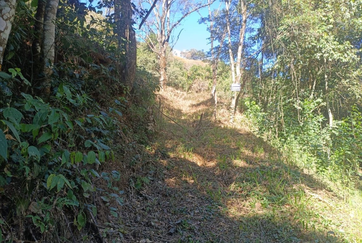 Terreno de 4,74 alqueires com Água Cristalina a Venda em Cambuí MG