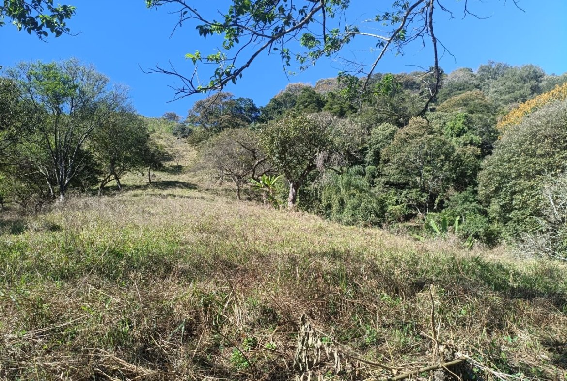 Terreno de 4,74 alqueires com Água Cristalina a Venda em Cambuí MG