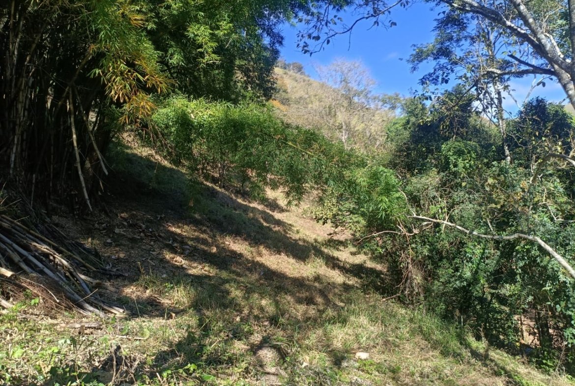 Terreno de 4,74 alqueires com Água Cristalina a Venda em Cambuí MG