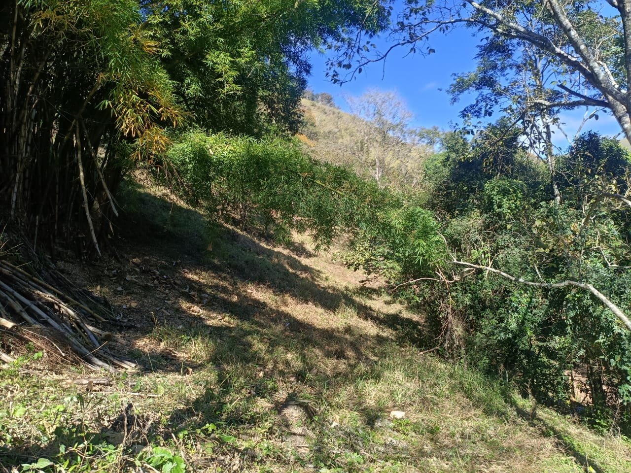 Terreno de 4 alqueire com Água Cristalina a Venda em Cambui MG cod 2502 (21) Terreno de 4,74 alqueires com Água Cristalina a Venda em Cambuí MG