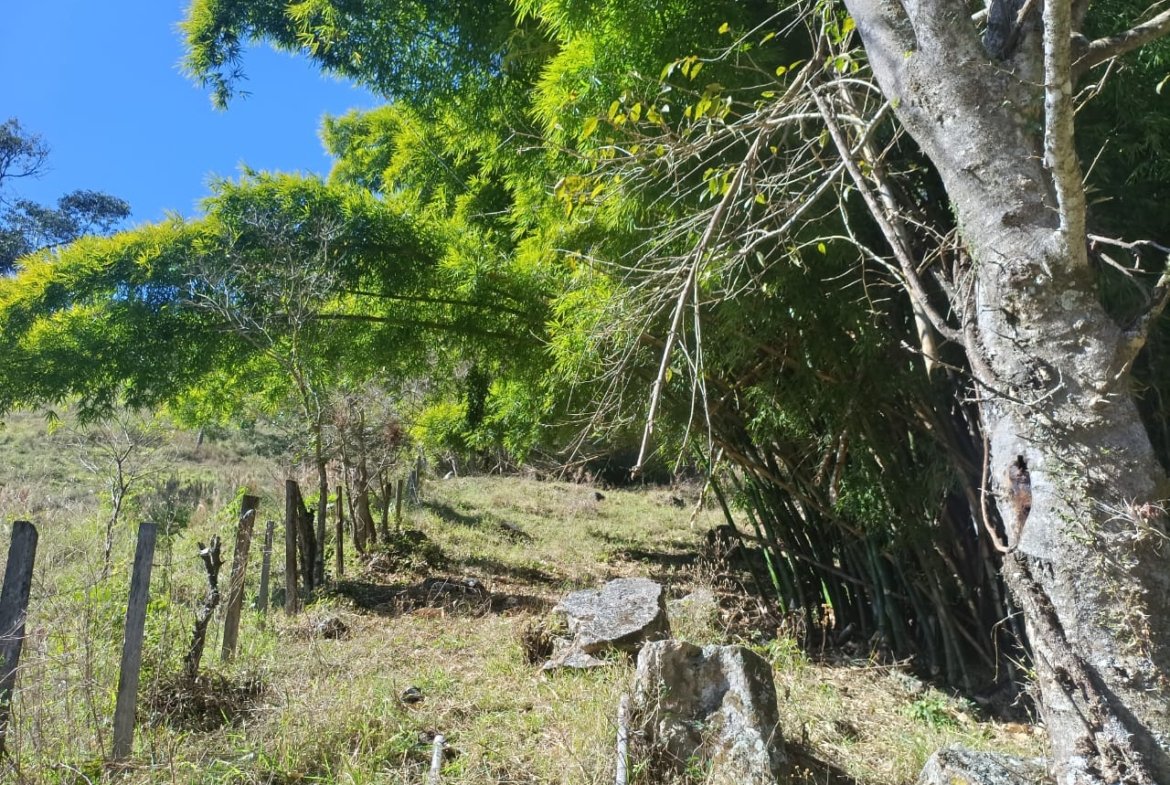 Terreno de 4,74 alqueires com Água Cristalina a Venda em Cambuí MG