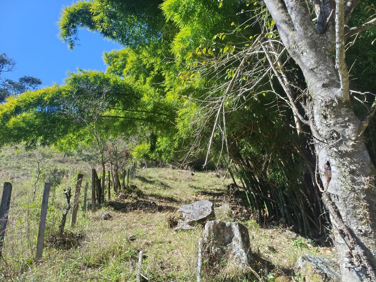 Terreno de 4 alqueire com Água Cristalina a Venda em Cambui MG cod 2502 (23) Terreno de 4,74 alqueires com Água Cristalina a Venda em Cambuí MG